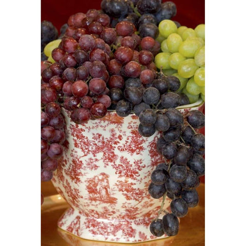 Still life of grape varieties in vase Black Modern Wood Framed Art Print with Double Matting by Paulson, Don