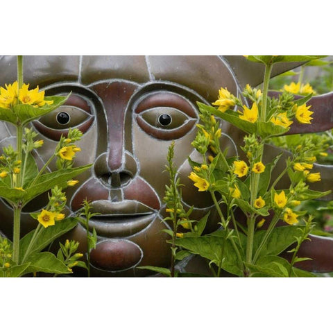 Garden ornament amid loosestrife flowers Black Modern Wood Framed Art Print with Double Matting by Paulson, Don