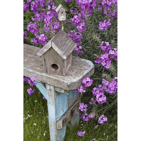 Bird houses on bench next to garden flowers Black Modern Wood Framed Art Print by Paulson, Don