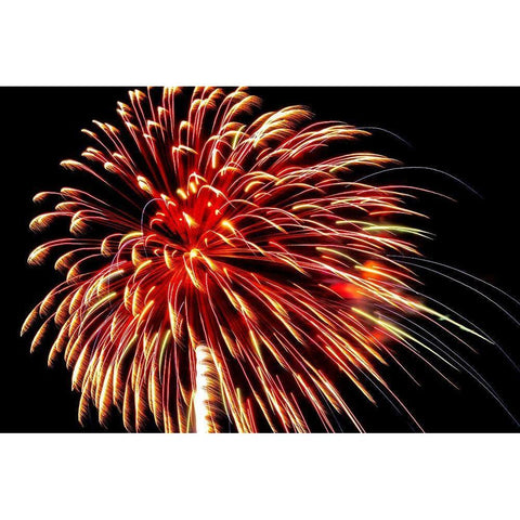 Independence Day fireworks-USA Gold Ornate Wood Framed Art Print with Double Matting by Engelbrecht, Jim