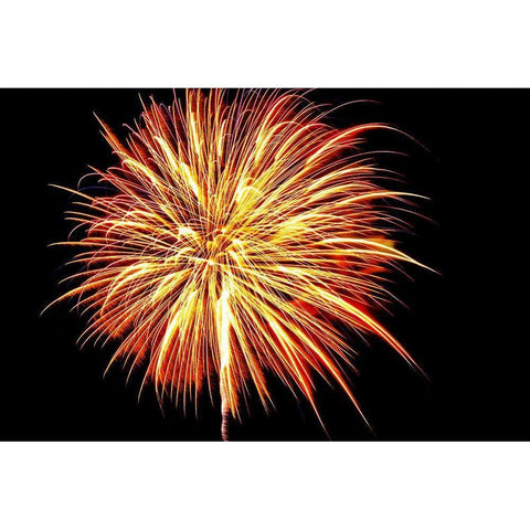 Independence Day fireworks-USA Gold Ornate Wood Framed Art Print with Double Matting by Engelbrecht, Jim