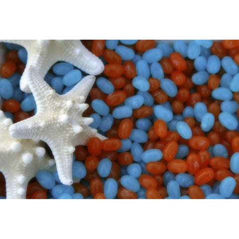 Red and blue jelly beans and white starfish Gold Ornate Wood Framed Art Print with Double Matting by Paulson, Don