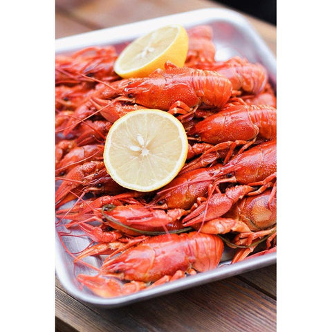 Crayfish close-up Black Modern Wood Framed Art Print with Double Matting by Majority World CIC