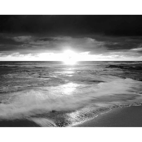 California, San Diego Sunset Cliffs beach Black Modern Wood Framed Art Print with Double Matting by Talbot Frank, Christopher