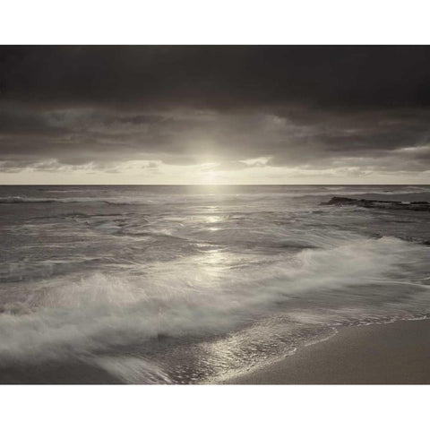 California, San Diego Sunset Cliffs beach White Modern Wood Framed Art Print by Talbot Frank, Christopher