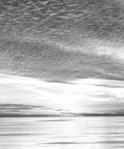 California, San Diego Sunset Cliffs at Sunset Black Ornate Wood Framed Art Print with Double Matting by Talbot Frank, Christopher