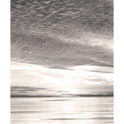 California, San Diego Sunset Cliffs at Sunset Black Modern Wood Framed Art Print with Double Matting by Talbot Frank, Christopher