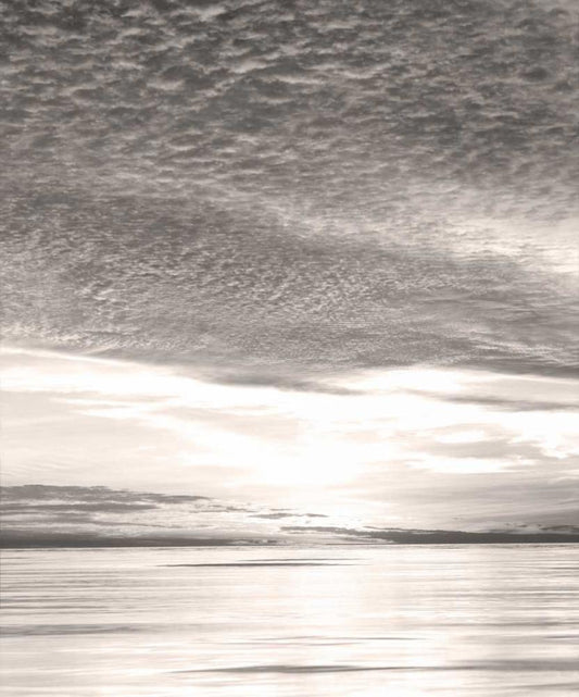 Image Only