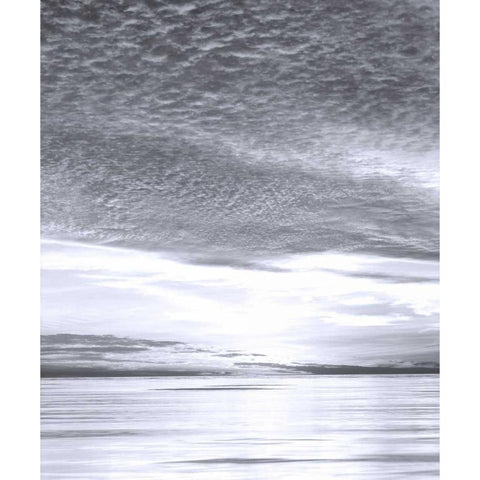 California, San Diego Sunset Cliffs at Sunset White Modern Wood Framed Art Print by Talbot Frank, Christopher