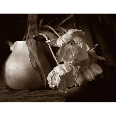 Sepia tone Tulips Black Modern Wood Framed Art Print by Miller, Anna