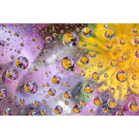 Bubbles abstract with flowers Gold Ornate Wood Framed Art Print with Double Matting by Rotenberg, Nancy