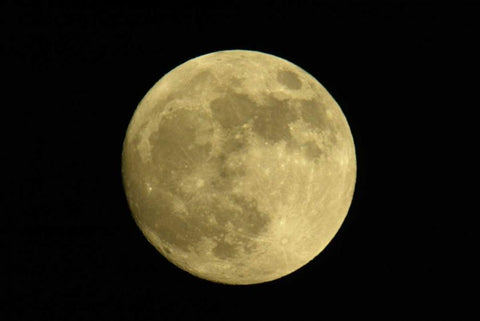Full moon with yellowish hue White Modern Wood Framed Art Print with Double Matting by Morris, Arthur