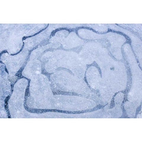 Patterns in a frozen puddle Black Modern Wood Framed Art Print by Paulson, Don