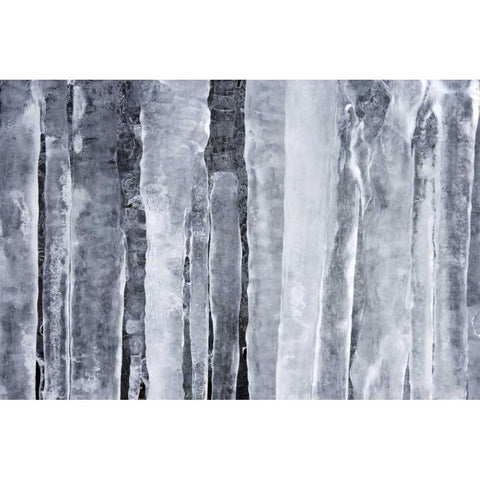 Detail of hanging icicles Black Modern Wood Framed Art Print by Paulson, Don