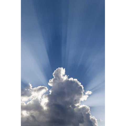 Crepuscular or Gods rays streak past cloud White Modern Wood Framed Art Print by Paulson, Don