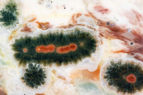 Ocean jasper stone found in Madagascar Black Ornate Wood Framed Art Print with Double Matting by Kirkland, Dennis