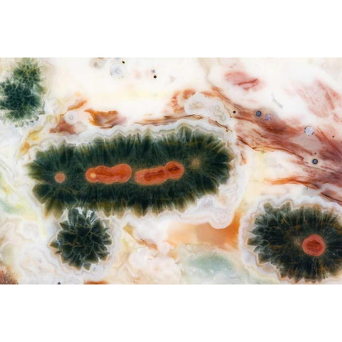 Ocean jasper stone found in Madagascar Gold Ornate Wood Framed Art Print with Double Matting by Kirkland, Dennis