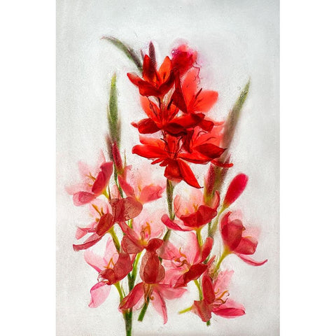 Kaffir lilies in ice Black Modern Wood Framed Art Print by Jaynes Gallery