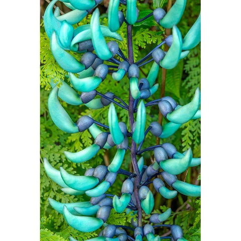 Jade vine Gold Ornate Wood Framed Art Print with Double Matting by Engelbrecht, Jim