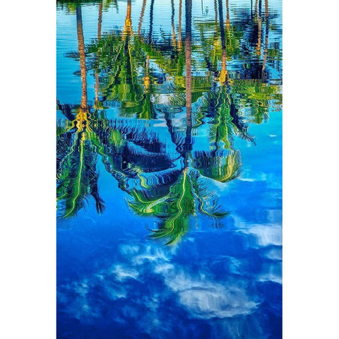 Reflection of palm trees on water White Modern Wood Framed Art Print by Engelbrecht, Lisa S.