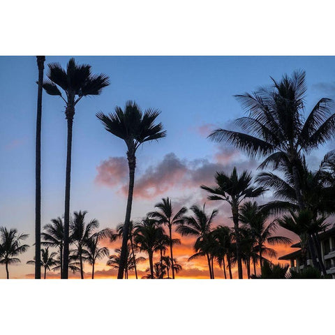 Tropical sunset Black Modern Wood Framed Art Print by Engelbrecht, Lisa S.