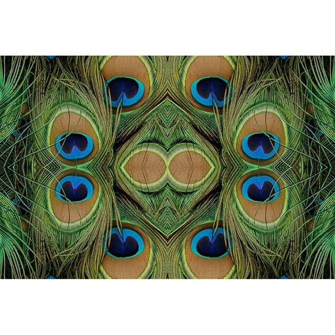 Peacock feathers White Modern Wood Framed Art Print by Jones, Adam