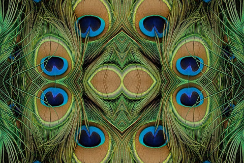 Peacock feathers White Modern Wood Framed Art Print with Double Matting by Jones, Adam