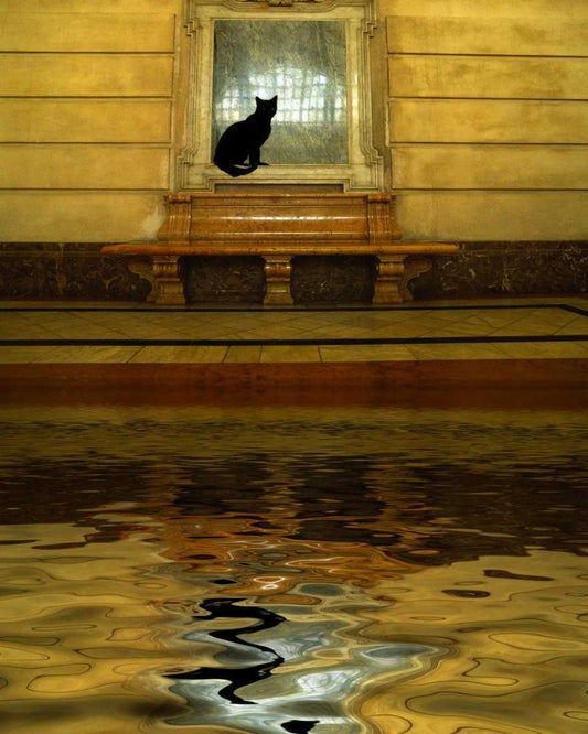 Image Only