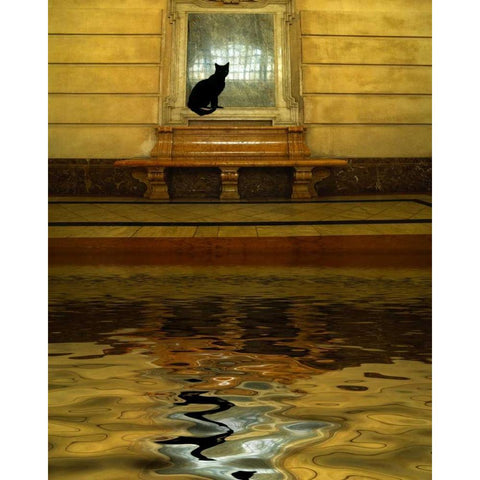 Concept of black cat and water Black Modern Wood Framed Art Print with Double Matting by Zuckerman, Jim