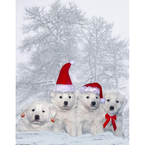 Great Pyrenees puppies with Christmas decorations Black Modern Wood Framed Art Print by Jaynes Gallery