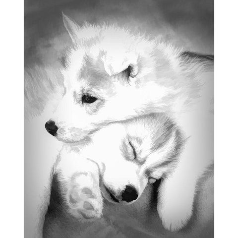 Abstract of Siberian husky puppies Black Modern Wood Framed Art Print by Jaynes Gallery