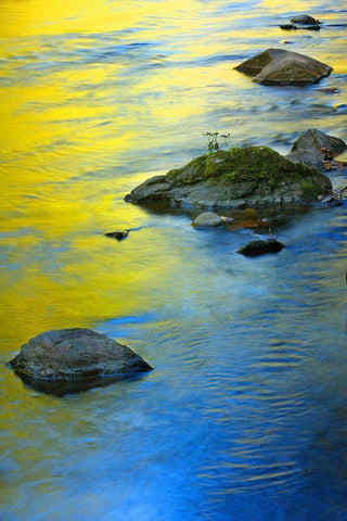 Colors Reflected in Water White Modern Wood Framed Art Print with Double Matting by Miller, Anna