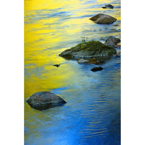 Colors Reflected in Water Gold Ornate Wood Framed Art Print with Double Matting by Miller, Anna