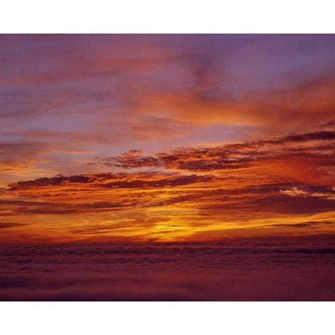 Sunset over the ocean from Cape Perpetua, OR, USA White Modern Wood Framed Art Print by Terrill, Steve