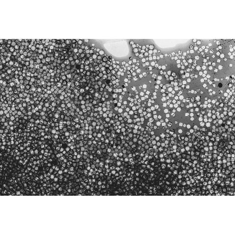Beet juice and salt crystals Black Modern Wood Framed Art Print with Double Matting by Muench, Zandria