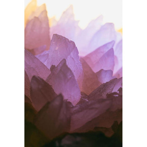 Rose Quartz White Modern Wood Framed Art Print by Muench, Zandria