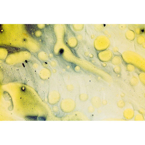 Paint-oil and water Black Modern Wood Framed Art Print with Double Matting by Muench, Zandria