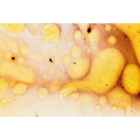 Paint-oil and water Black Modern Wood Framed Art Print with Double Matting by Muench, Zandria
