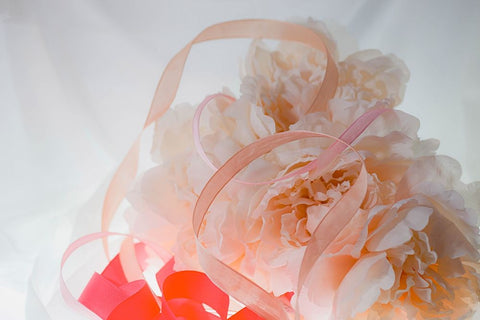 Flowers and light Black Modern Wood Framed Art Print by Muench, Zandria