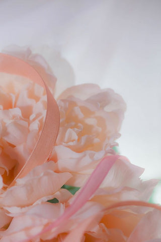 Flowers and light Black Ornate Wood Framed Art Print with Double Matting by Muench, Zandria