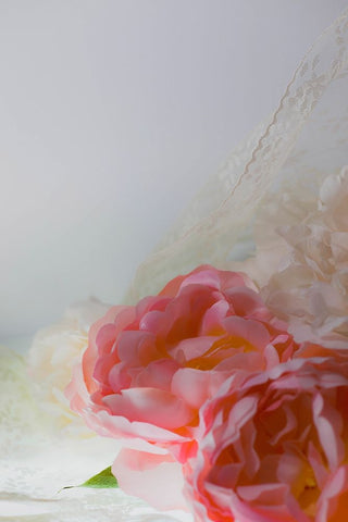 Flowers and light White Modern Wood Framed Art Print with Double Matting by Muench, Zandria