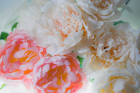 Flowers and light Black Modern Wood Framed Art Print by Muench, Zandria