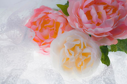 Flowers and light Black Modern Wood Framed Art Print by Muench, Zandria