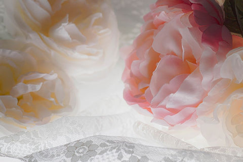 Flowers and light White Modern Wood Framed Art Print with Double Matting by Muench, Zandria