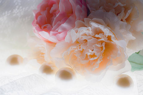 Flowers and light White Modern Wood Framed Art Print with Double Matting by Muench, Zandria