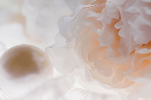 Flowers and light Black Ornate Wood Framed Art Print with Double Matting by Muench, Zandria