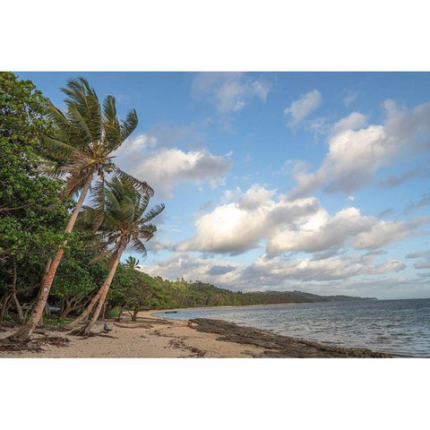 Fiji-Viti Levu Beach with palm trees and white clouds Gold Ornate Wood Framed Art Print with Double Matting by Merrill Images