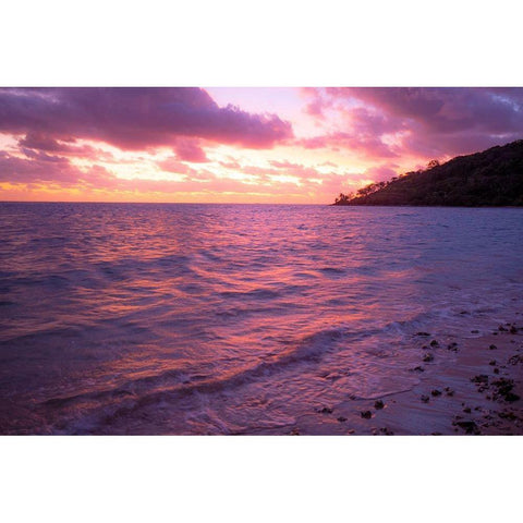 Fiji-Viti Levu Gold Ornate Wood Framed Art Print with Double Matting by Merrill Images