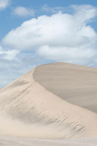 Fiji-Viti Levu Sand dunes White Modern Wood Framed Art Print with Double Matting by Merrill Images