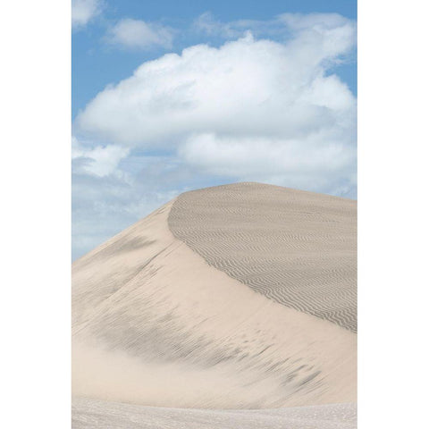 Fiji-Viti Levu Sand dunes Black Modern Wood Framed Art Print by Merrill Images